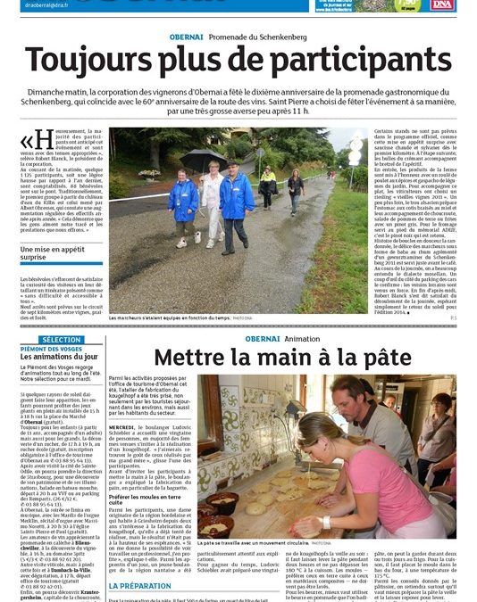 PROMENADE GASTRO ATELIER KOUGELHOPF DNA 27 08 13_534X800 1 534X675 | Au Pain Gourmand Presse Sélestat 0