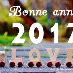 bonne ann&eacute;e 2017 ! H&oelig;nheim 0