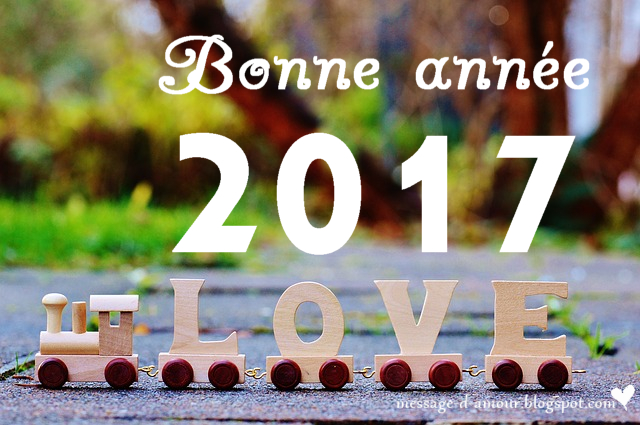 bonne ann&eacute;e 2017 ! H&oelig;nheim