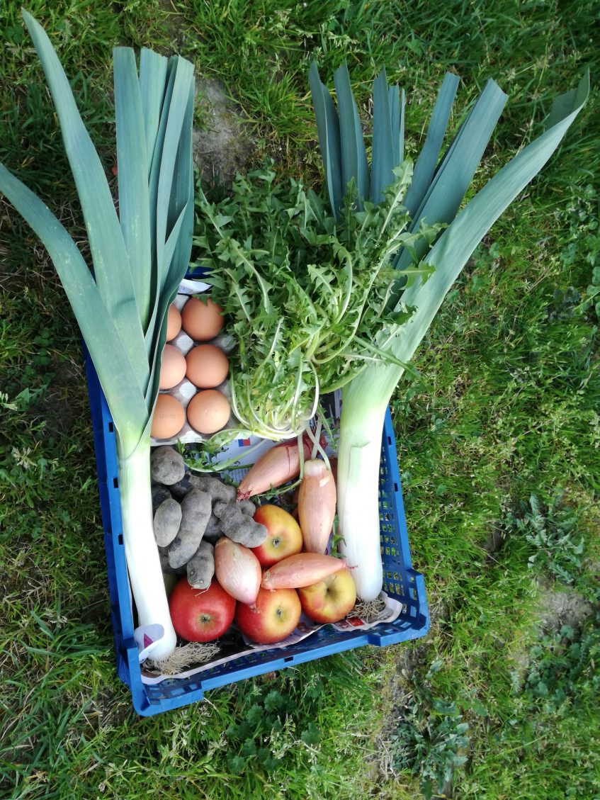 sur le clic&amp;collect panier de l&eacute;gumes Bischheim