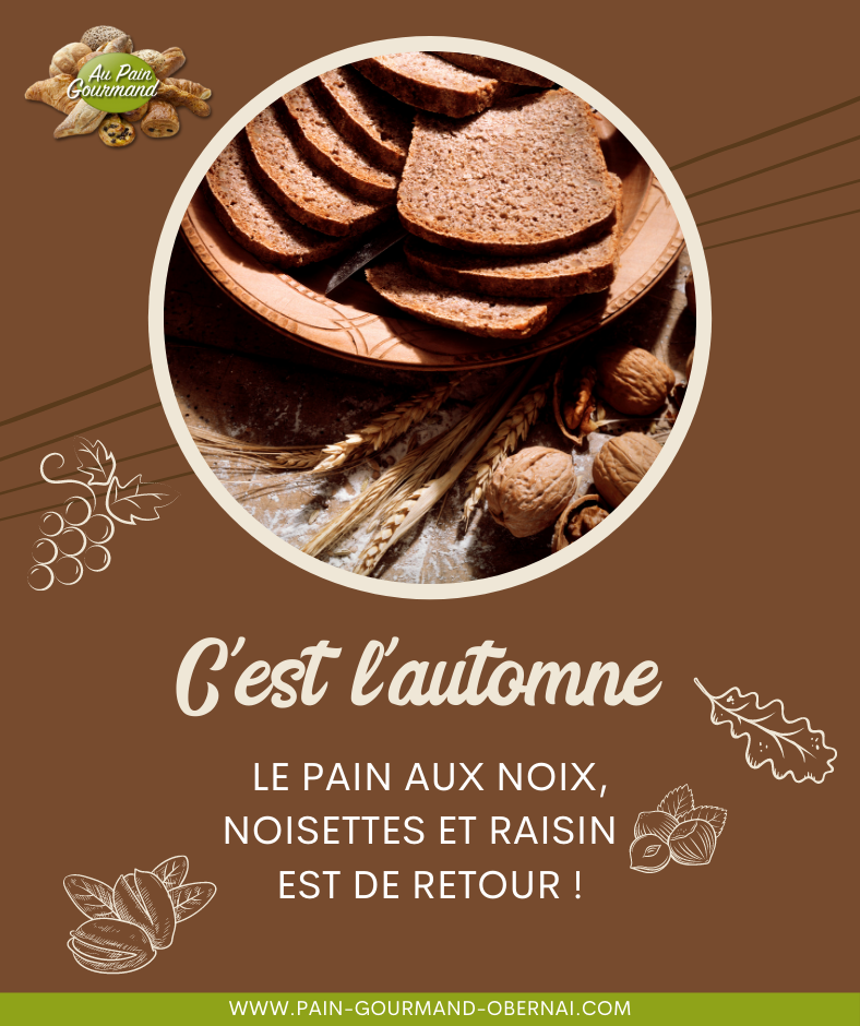 L’ automne est arriv&eacute; ! Bischheim 0