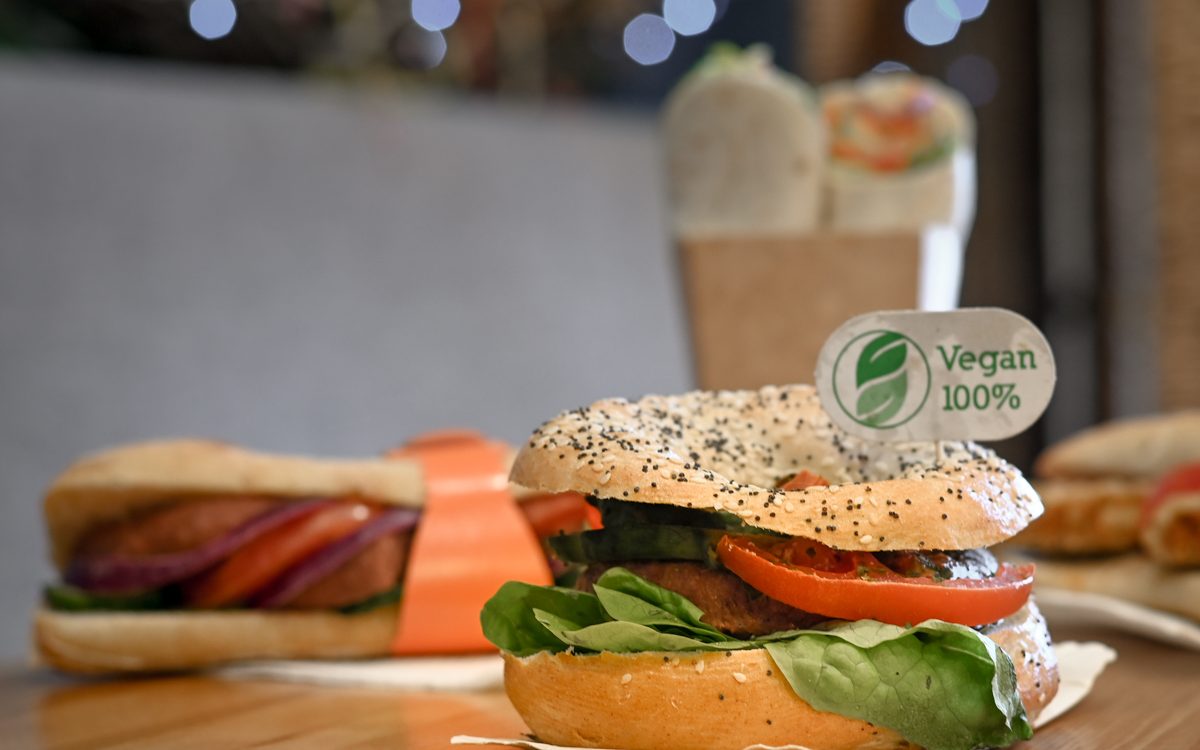 nouveau nos plats et sandwich vegan Lingolsheim